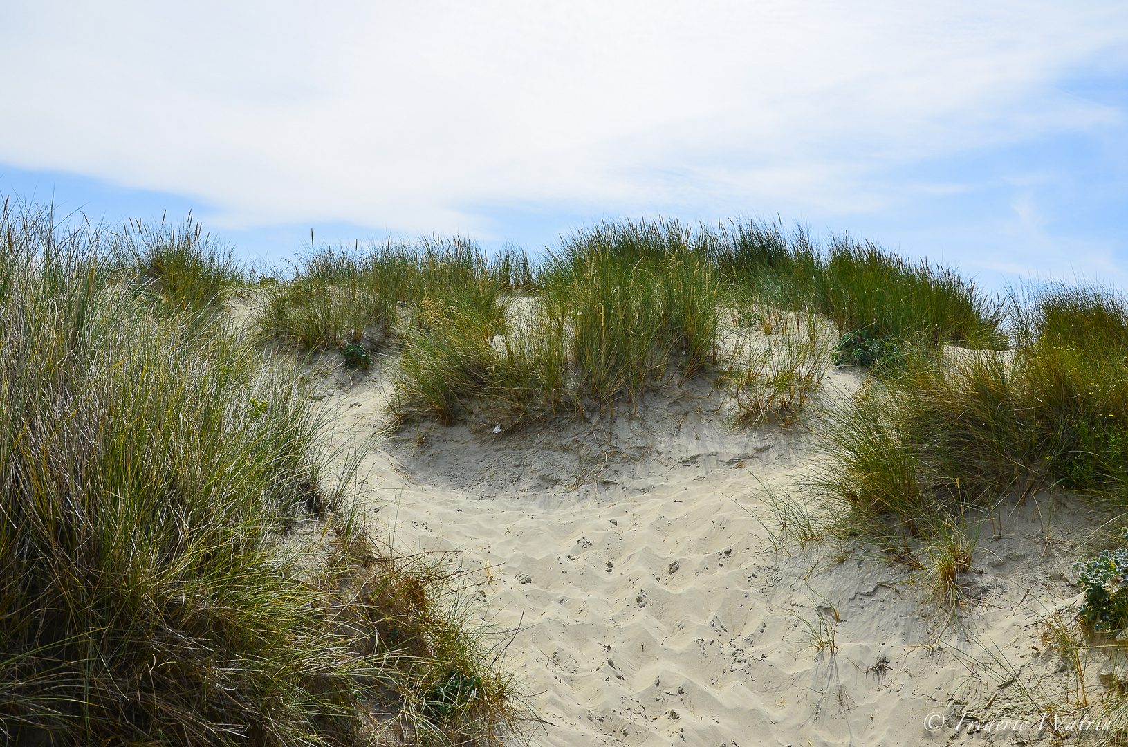 Dunes de Sainte Cécile