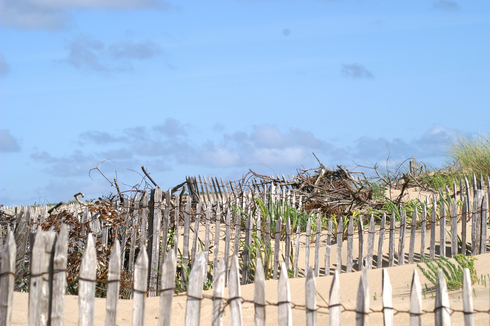 Dunes du veillon