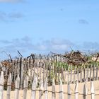 Dunes du veillon