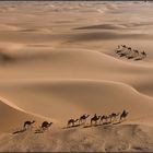 Dunes et caravanes