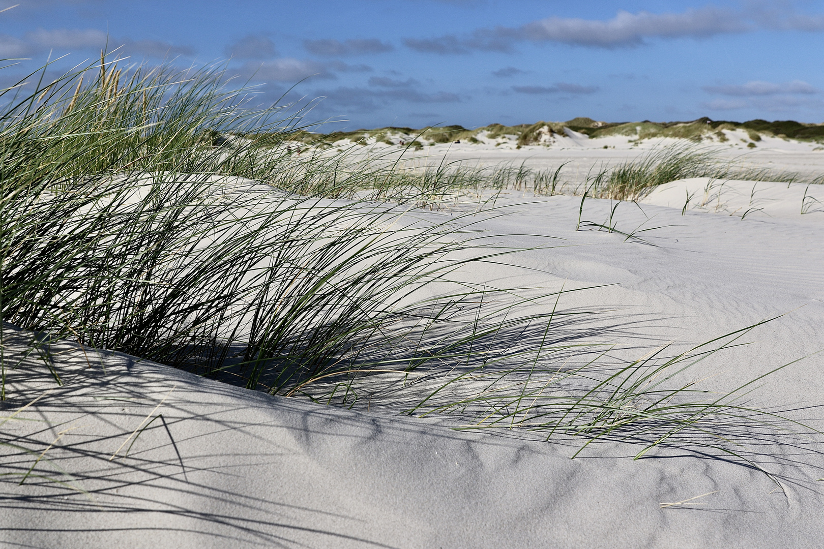 Dunes 