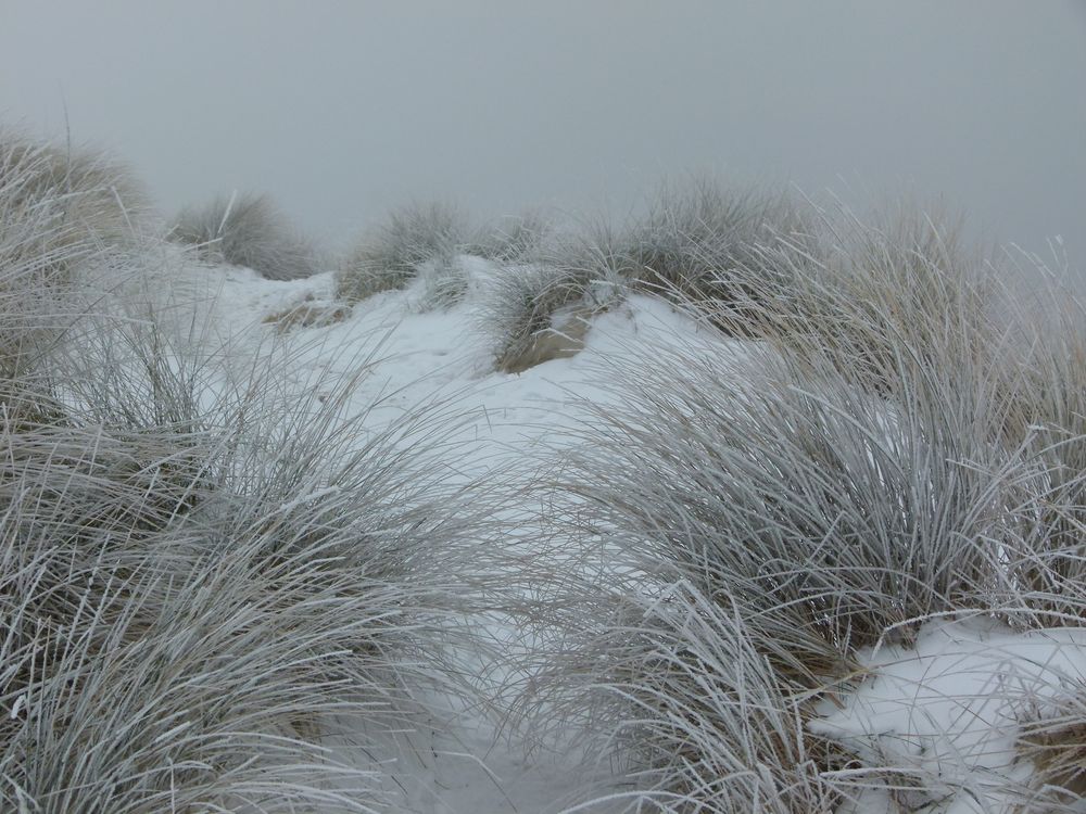 dunes givrées