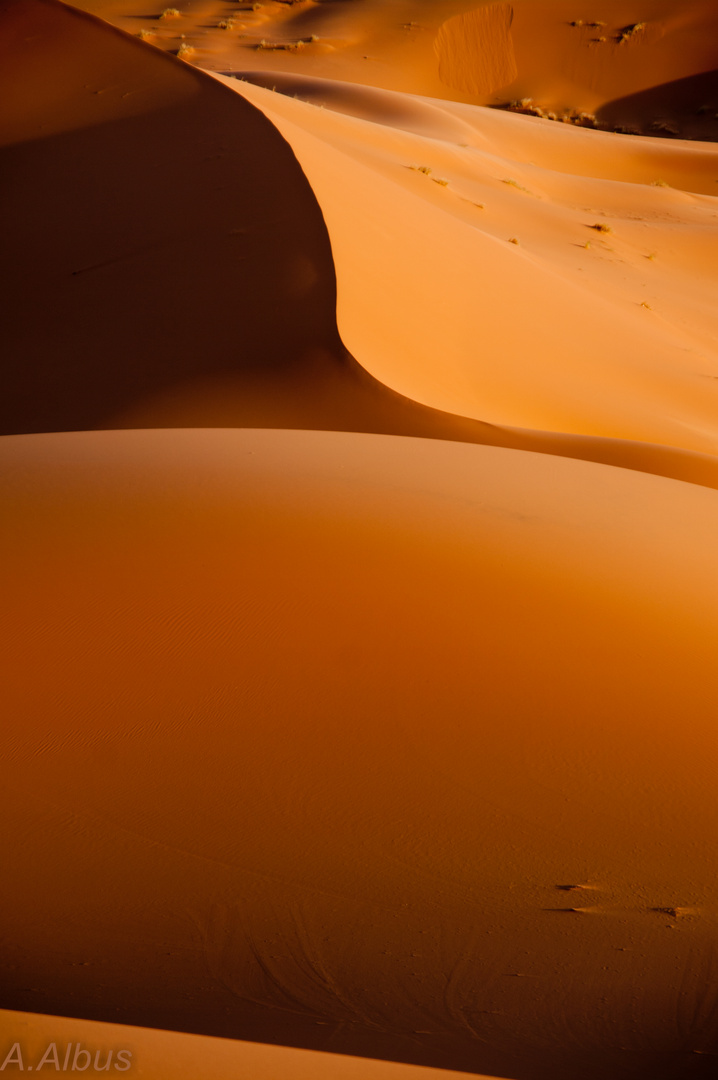 Dunes II