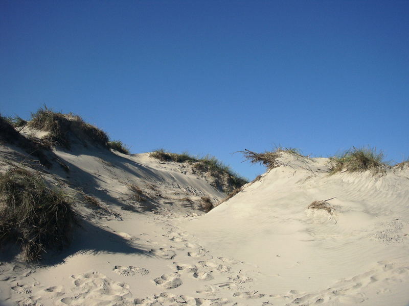 Dunes in Denmark