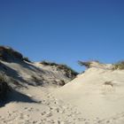Dunes in Denmark