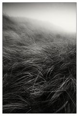 Dunes in Fog