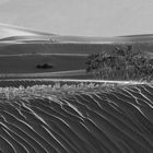 Dunes in the Desert