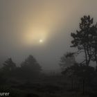 dunes in the morning