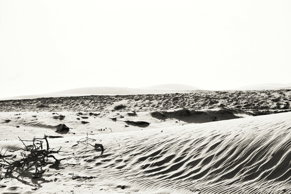 Dunes Jericoacoara 3