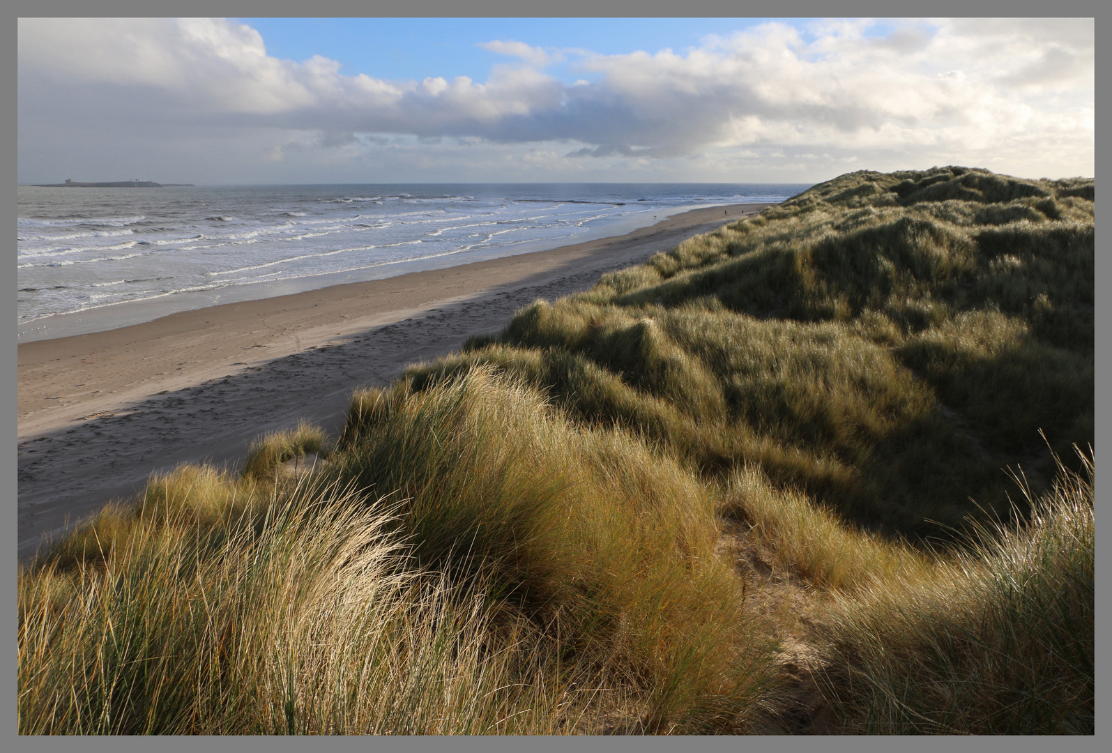 dunes near bamburgh