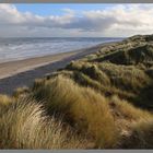 dunes near bamburgh