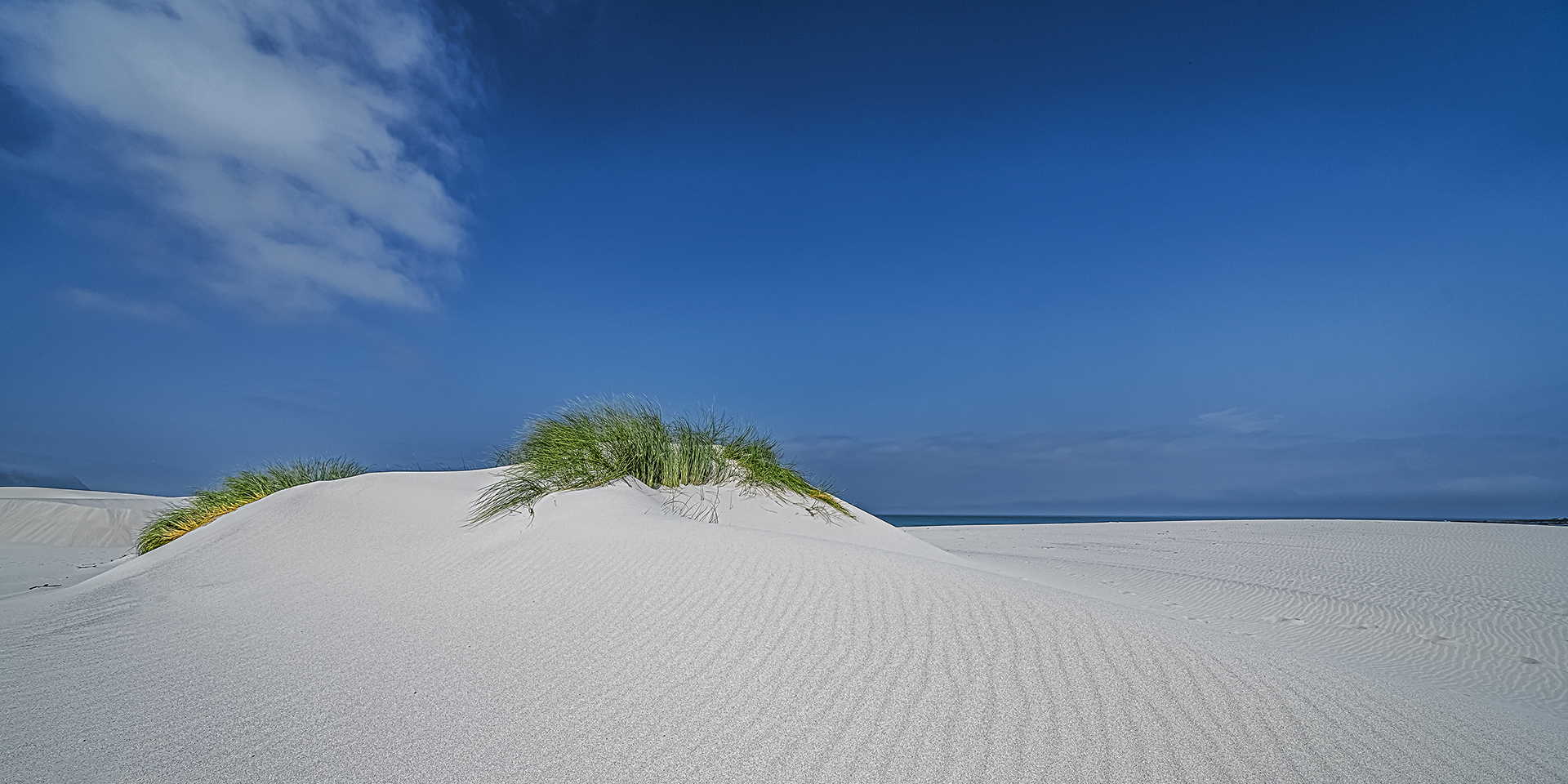 Dunes near Bettys Bay