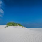 Dunes near Bettys Bay