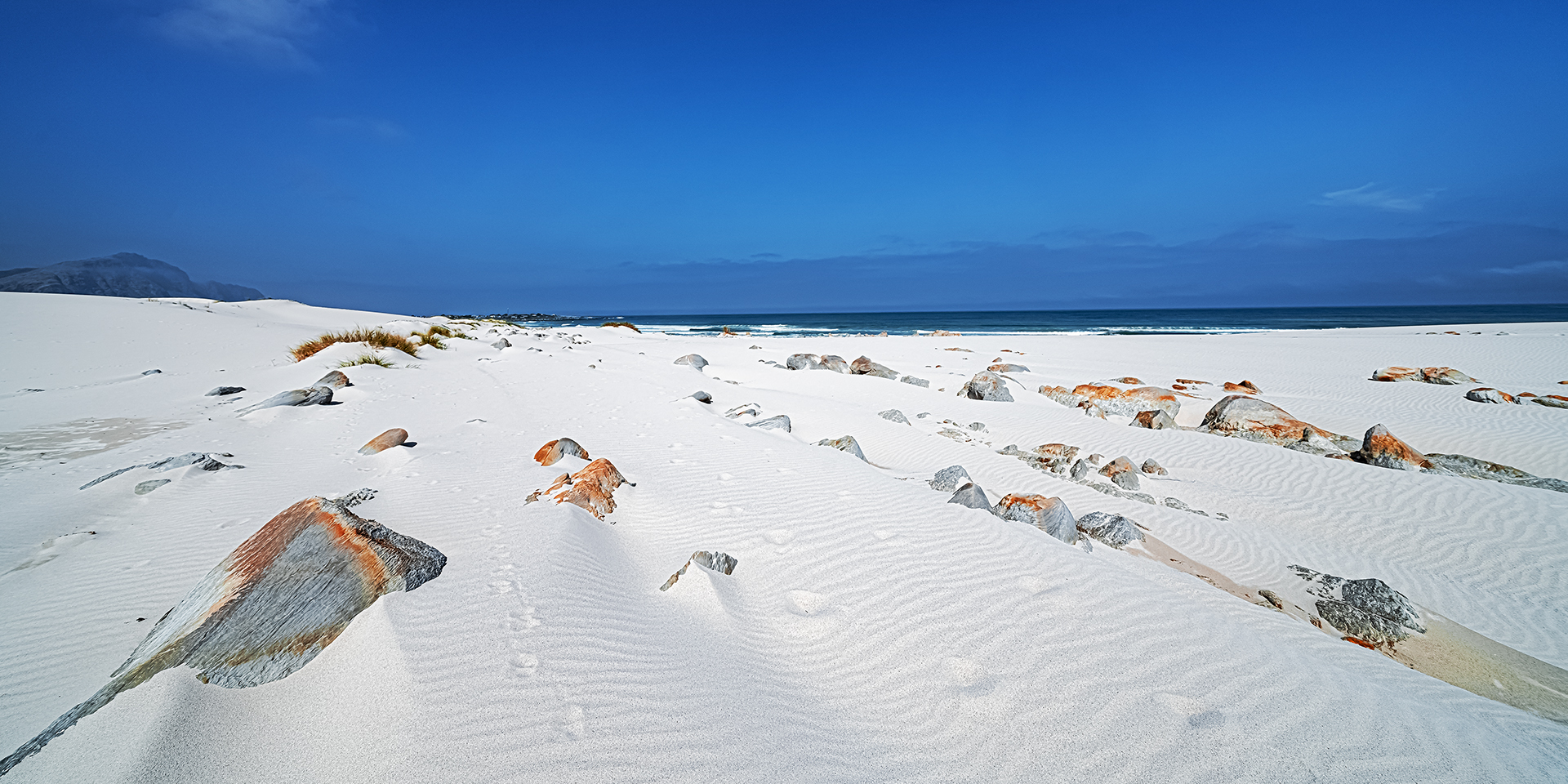 Dunes near Bettys Bay