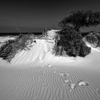 Dunes near Bettys Bay South Africa