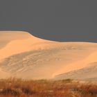 Dunes of Camacho beach