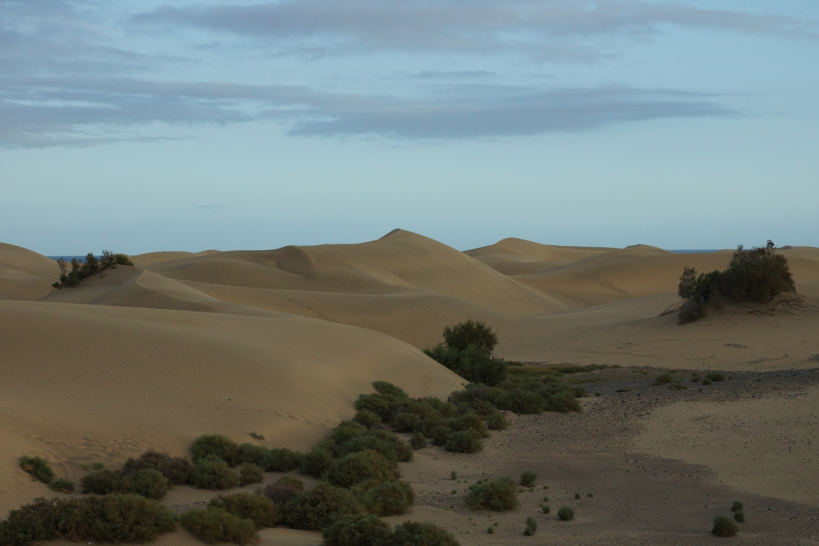 Dunes of Maspalomas 2