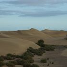 Dunes of Maspalomas 2