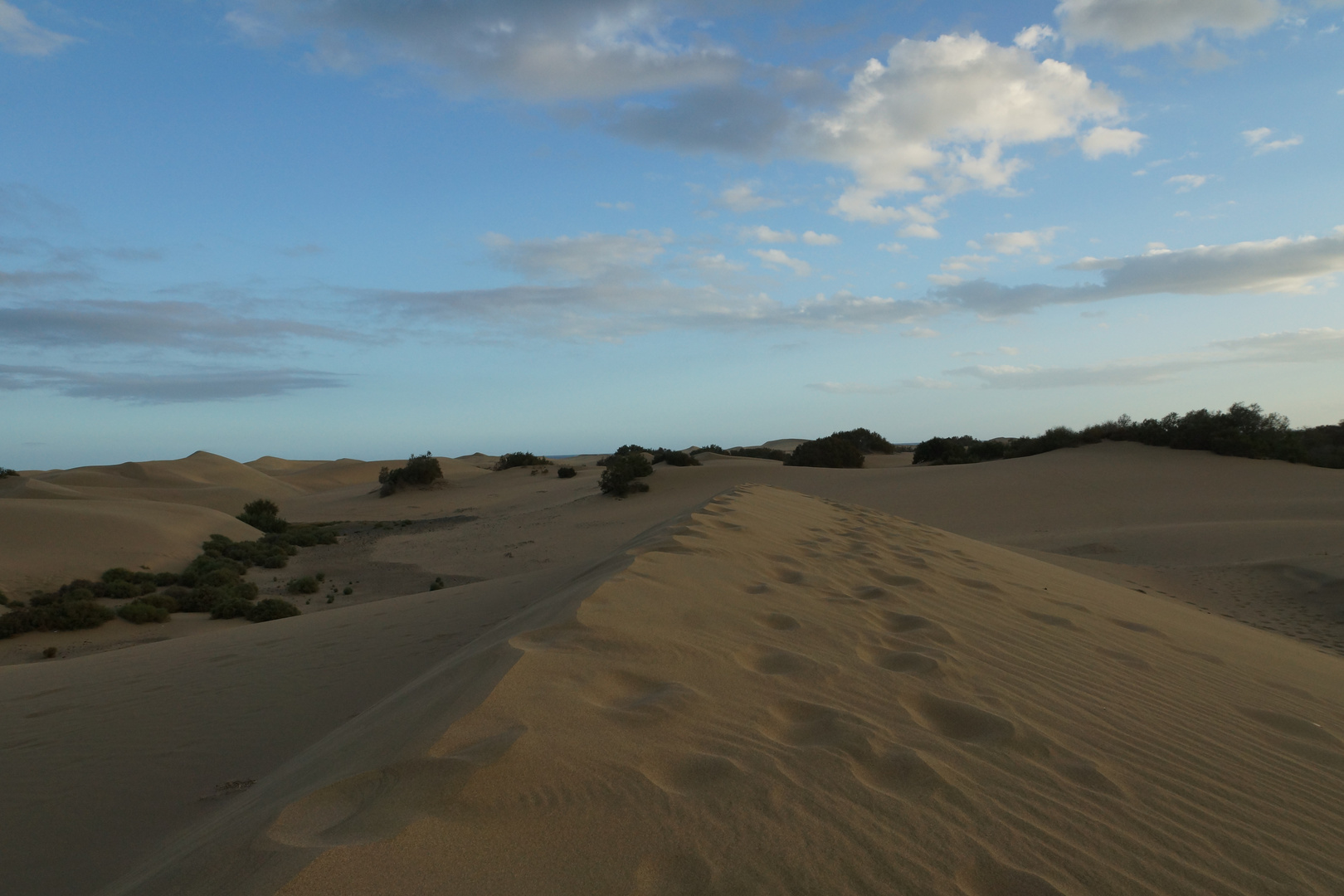 Dunes of Maspalomas