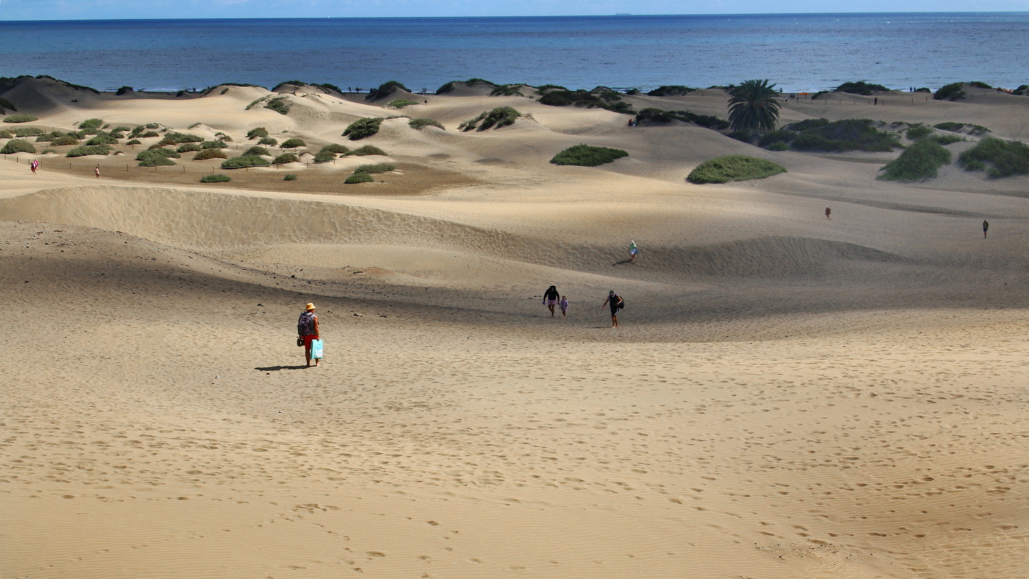 Dunes of Maspalomas