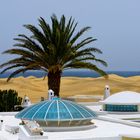 Dunes of Maspalomas (Gran Canaria)