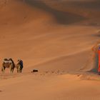 Dunes of Merzouga