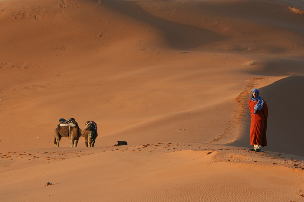 Dunes of Merzouga