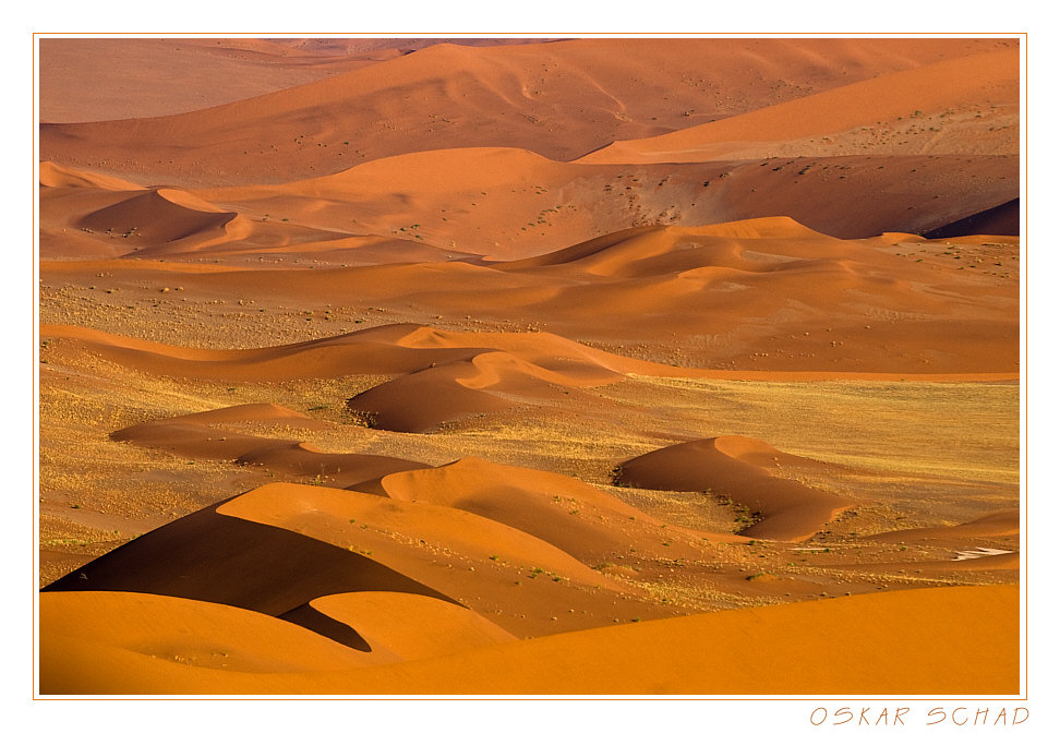 Dunes of Namib