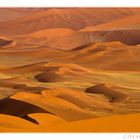 Dunes of Namib