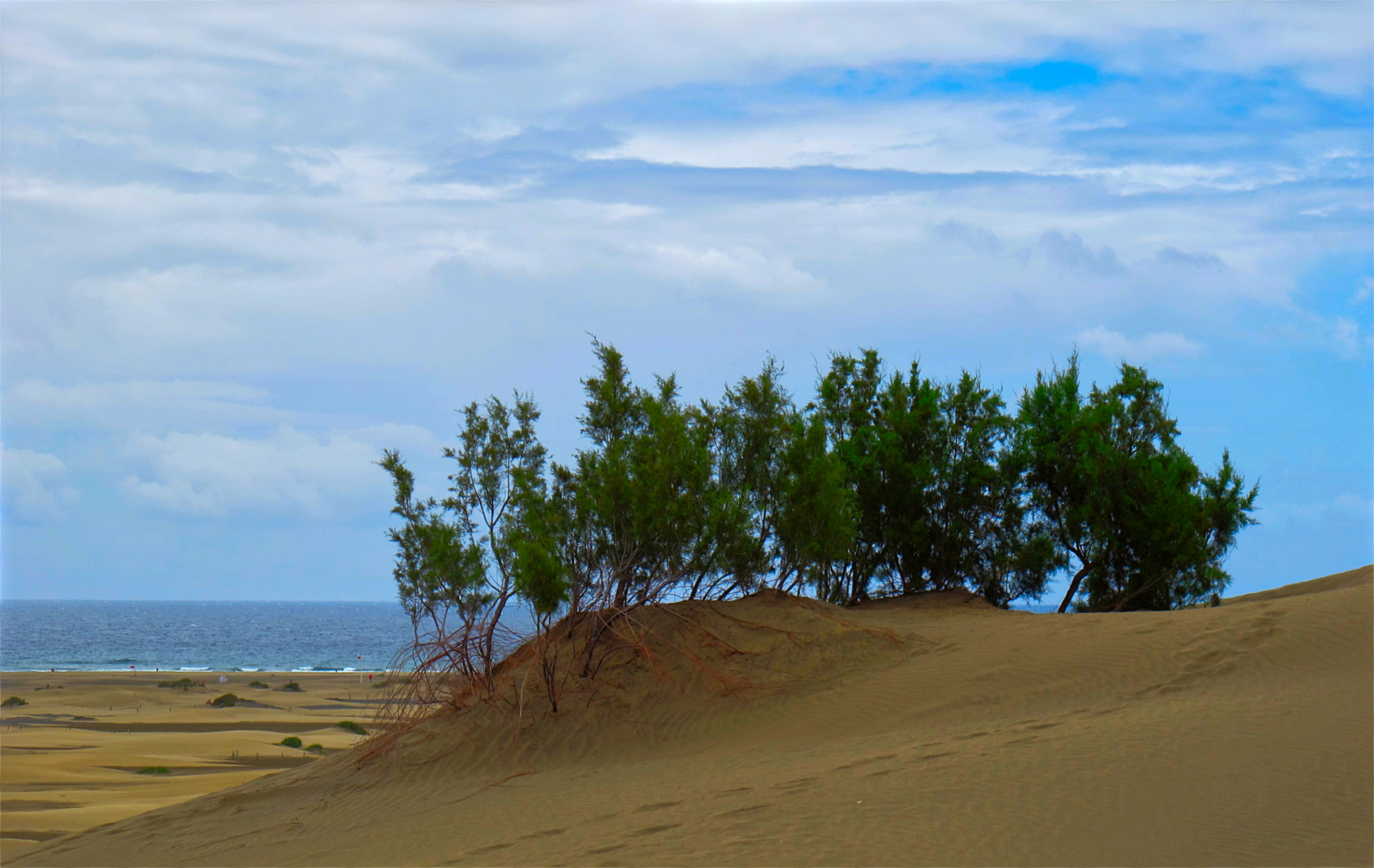 dunes of playa d' ingles GC