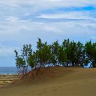 dunes of playa d' ingles GC