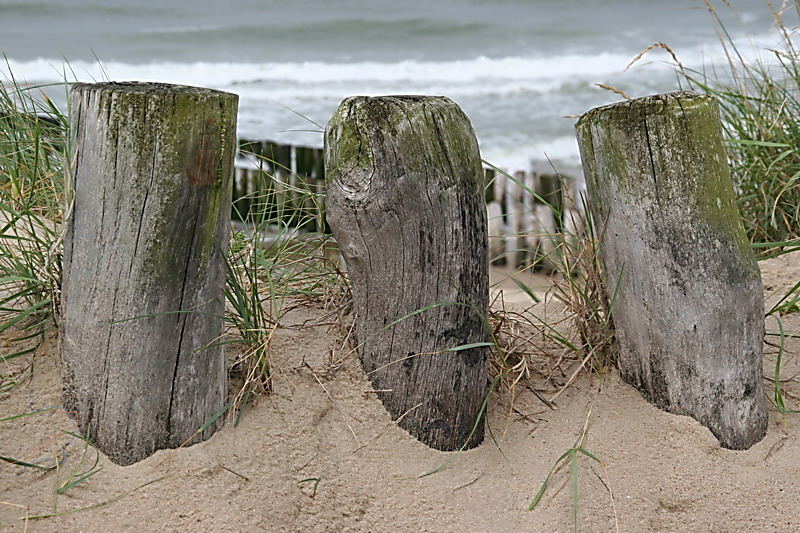 Dunes of Zoutelande