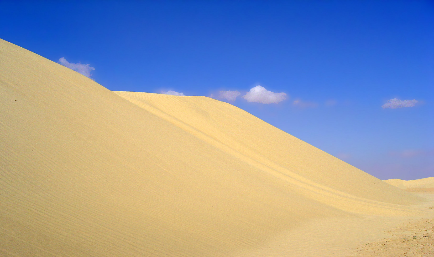 Dunes présahariennes à Lariguett près de Nefta