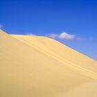 Dunes présahariennes à Lariguett près de Nefta