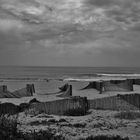 Dunes restoration project #2