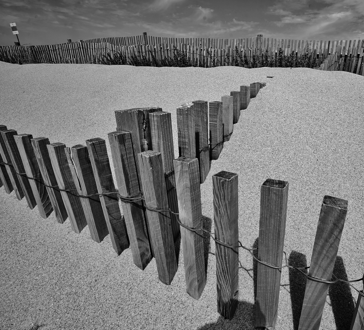 Dunes restoration project #3