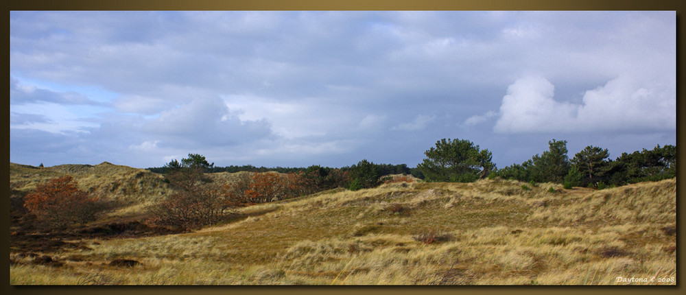 Dune's Schoorl NoordHolland