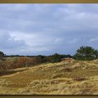 Dune's Schoorl NoordHolland