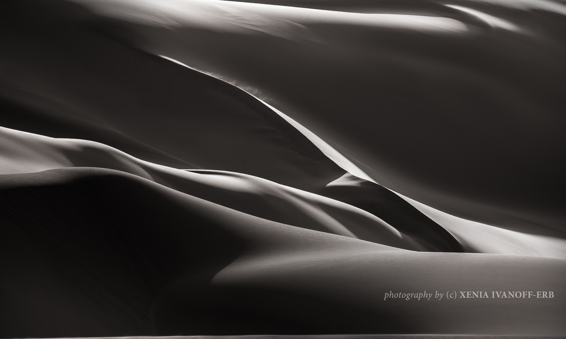 Dunescape of the Namib