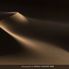 Dunescapes of the Namib (Namibia)