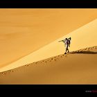 Dunewalker