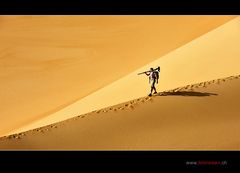 Dunewalker