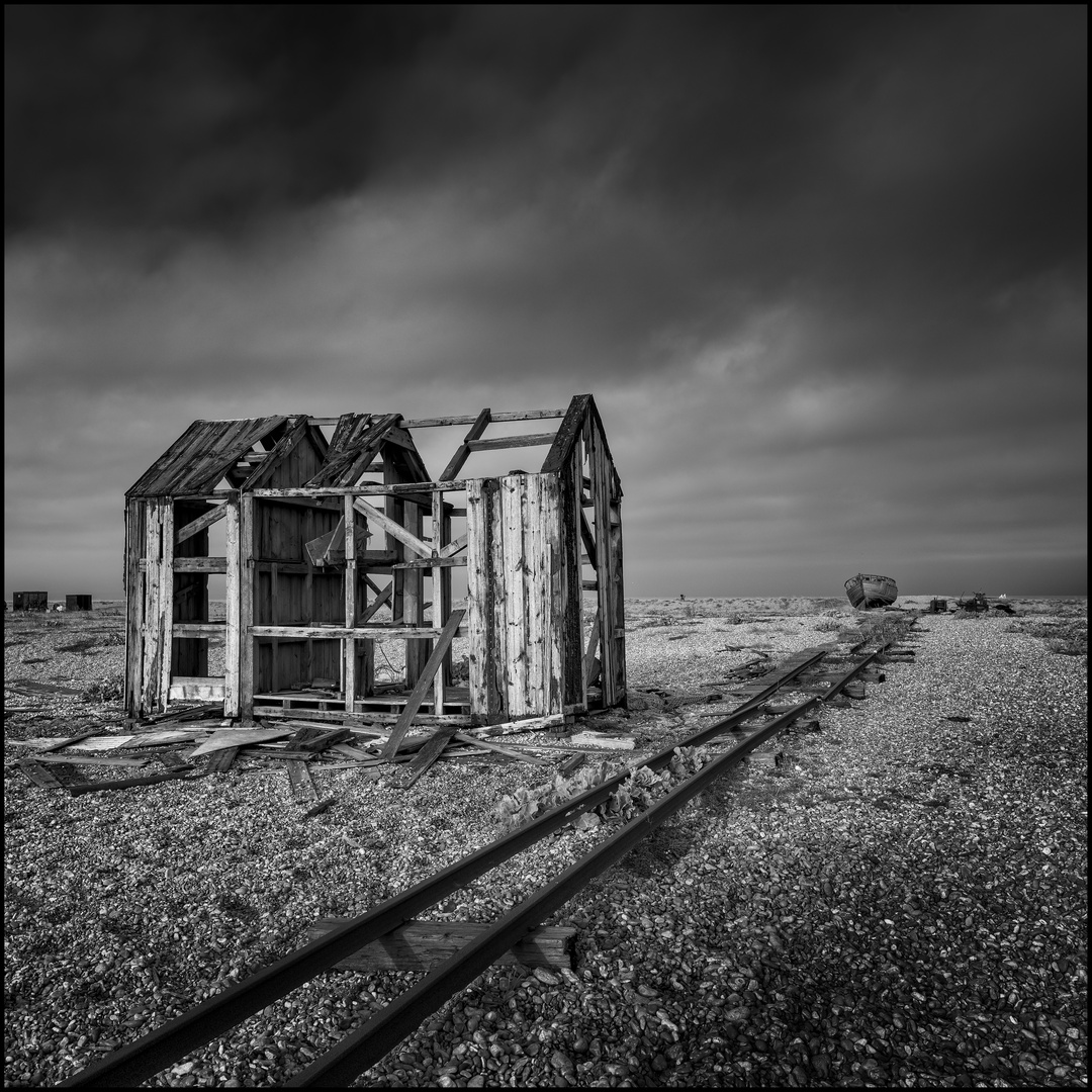 DUNGENESS # 01