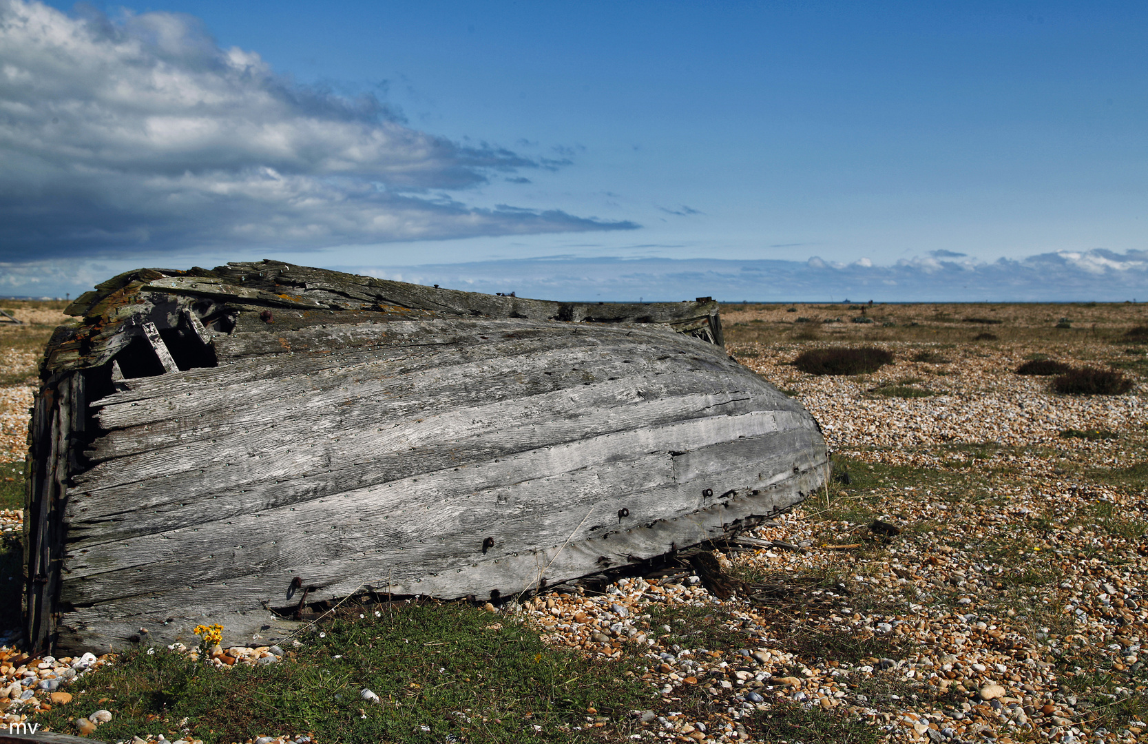 Dungeness