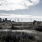 Dungeness