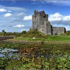 Dunguaire Castle