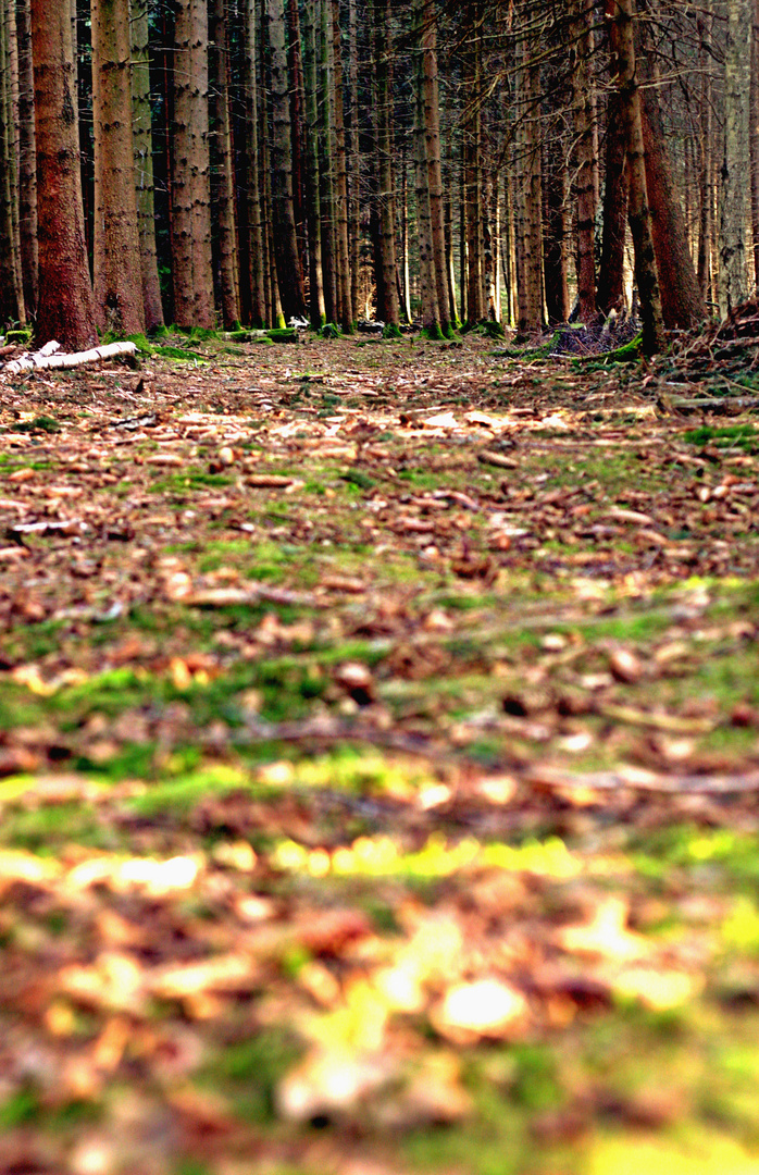 dunkel am ende des lichts