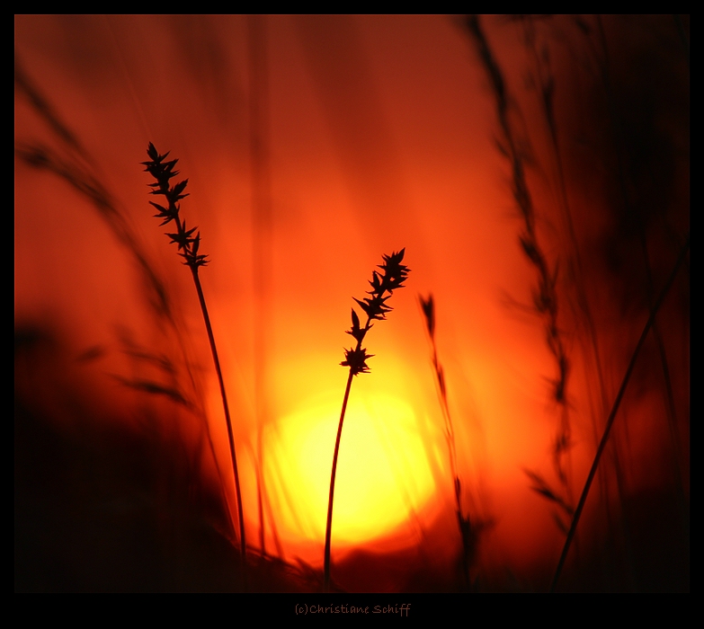 Dunkel im Licht