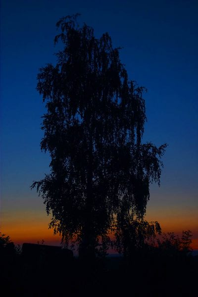 Dunkel Wie Die Nacht Dunkel Wie Die Nacht