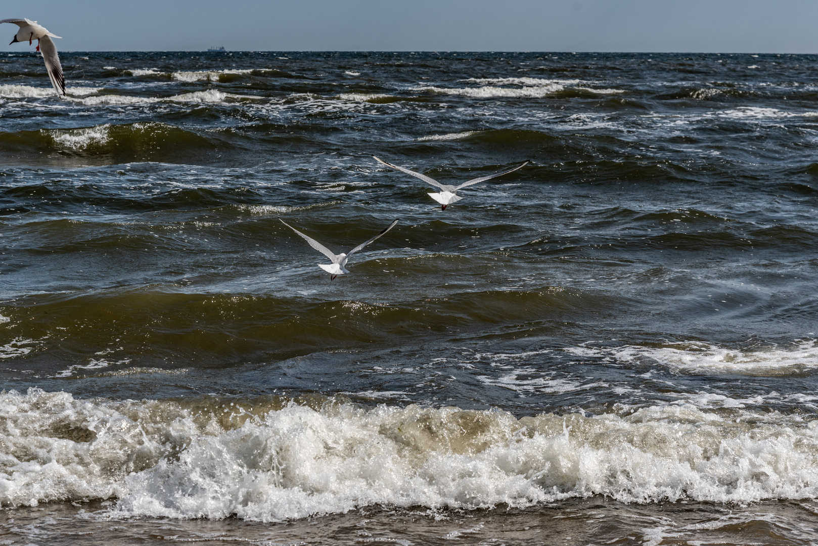 Dunkel und rau, kalt die Ostsee